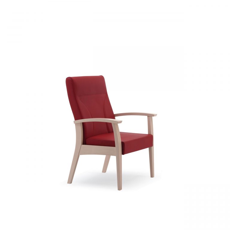 Fauteuil - Fandango 80-63/2 - cat. x - avec accoudoirs - dossier haut - couleur de bois code 01