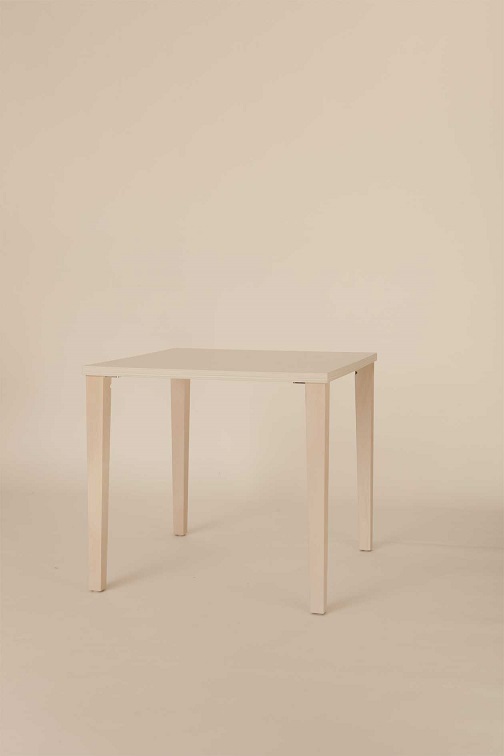 Table - ABS - 4 pieds - Longueur 800mm - Largeur 800mm - Hauteur 770mm - carré